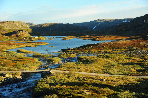 Natural landscape of wetland in Norway - Фото, изображение
