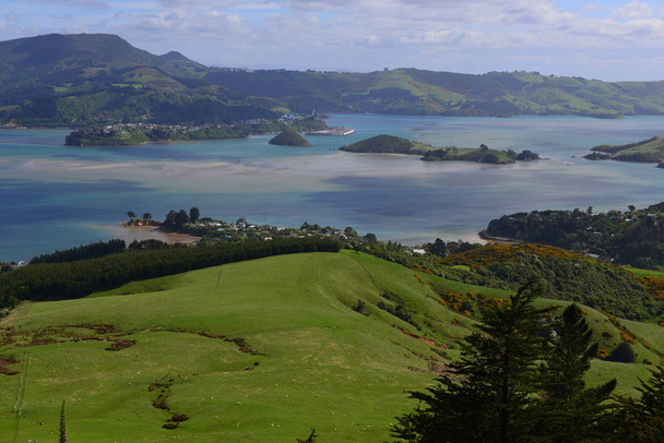 High angle shot of the beautiful landscape from Larnach Castle - 写真・画像