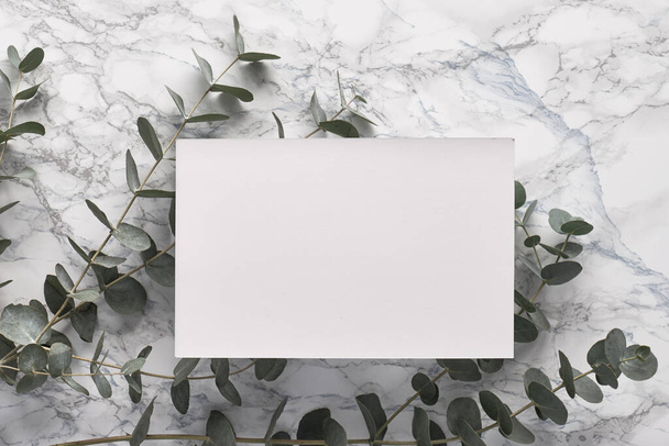 Beautiful abstract floral background. Flat lay, top view eucalyptus on marble background, flat lay on light textured stone table surface. Minimal concept. Background decoration. Trendy decor. - Фото, изображение