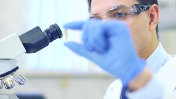 Scientist studies properties and benefits of omega 3 fatty acids using microscope and laboratory equipment in a medical laboratory - Filmati, video