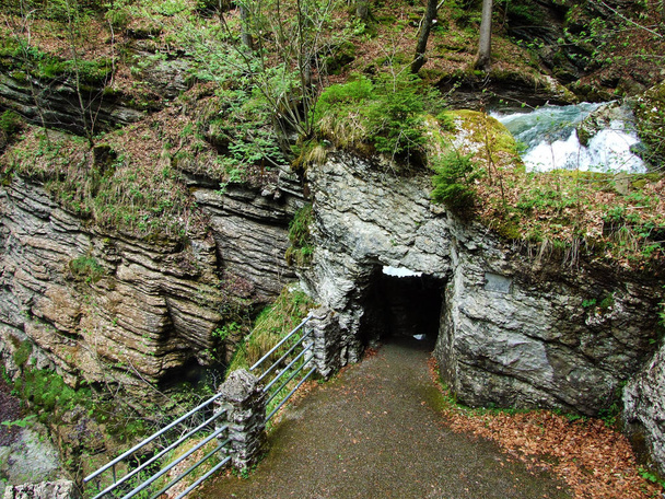サワー川のサワー滝（Thur Waterfall）またはサワースフェール・オーダー・サーファエル（Thur River）およびオーバートッゲンブルク地方（Unterwasser）-カントン・オブ・セント・ガレン、スイス - 写真・画像
