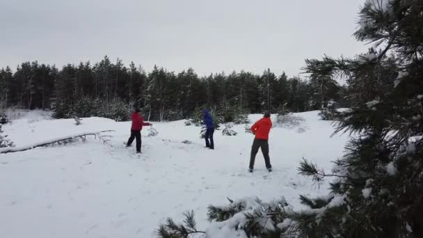 Tři lidé hrají sněhové koule. Odjezd zpoza stromu. Získat sníh dron. - Záběry, video