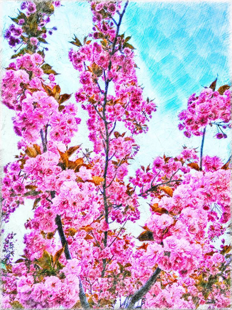 Pink Springtime Flowers Blooming Tree Illustration - Photo, Image
