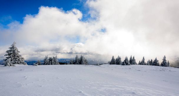 Φοβερό χειμερινό τοπίο με δέντρα καλυμμένα με χιόνι. Παγωμένη μέρα στο βουνό, εξωτική χειμωνιάτικη σκηνή. - Φωτογραφία, εικόνα