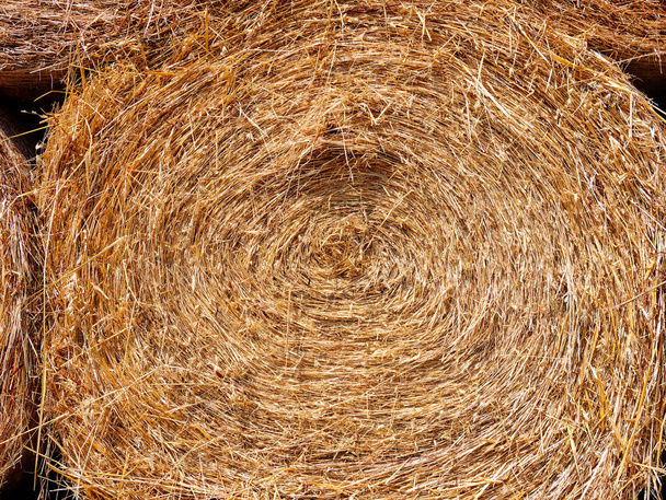 bale of straw in field closeup - Zdjęcie, obraz