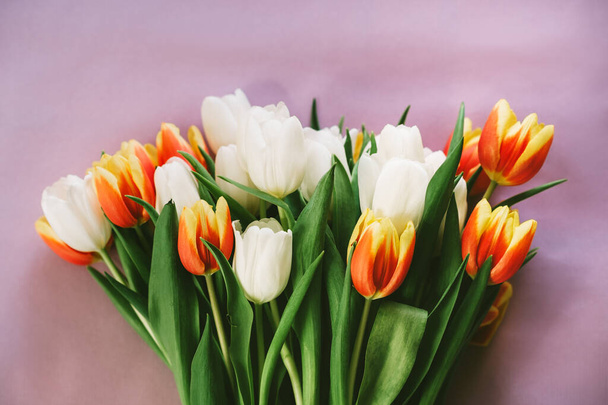 Czerwone, żółte i białe tulipany leżące na różowym tle, widok z góry - Zdjęcie, obraz