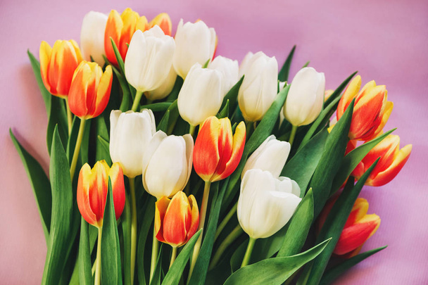 Červené, žluté a bílé tulipány ležící na růžovém pozadí, horní pohled - Fotografie, Obrázek