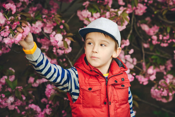 Handsome stylish boy posing over sakura blooming background. Little kid wear stylish outfit outdoors at spring. - Fotoğraf, Görsel