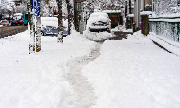 Path way made by people walking thru the snow in the morning. Pa - 写真・画像