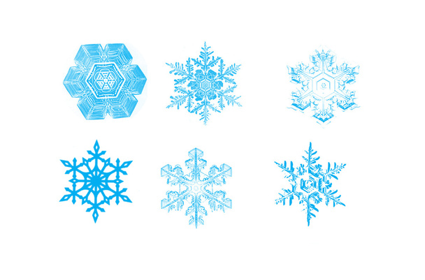 snowflakes isolated - Photo, Image