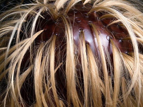 Coloração do cabelo
 - Foto, Imagem