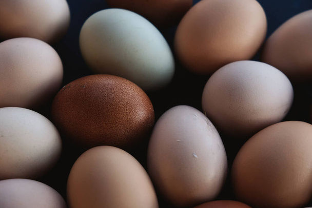 Huevos de pollo de granja de granja, tonos terrosos
. - Foto, imagen