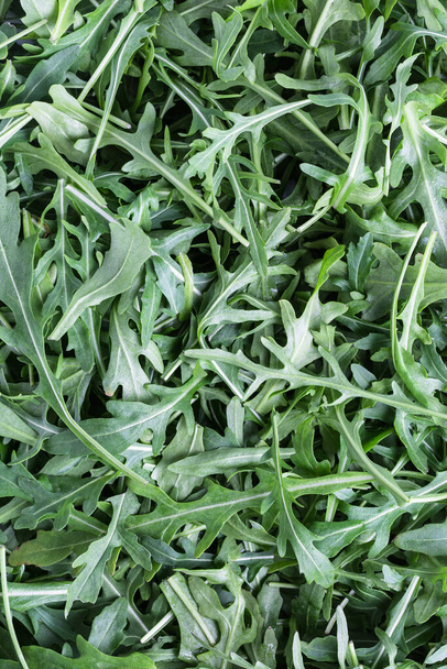 Fresh arugula, salad greens, background - Foto, imagen