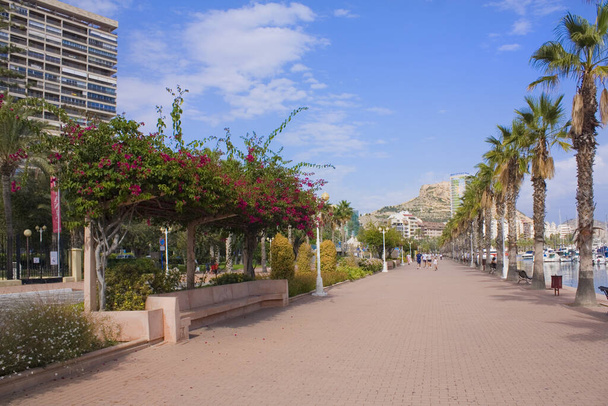 Marina és gyalogos alley, Alicante, Spanyolország  - Fotó, kép