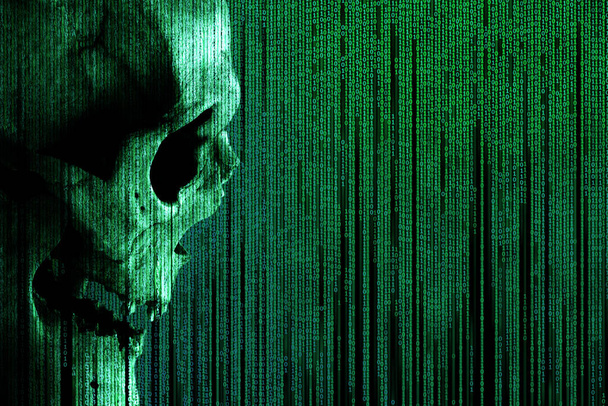 Человеческий череп на зеленом фоне двоичной матрицы кода. Вид сбоку человеческого черепа. Концепция: хакер и компьютерный вирус, кража баз данных, спам. Иллюстрация изолирована на черном
. - Фото, изображение
