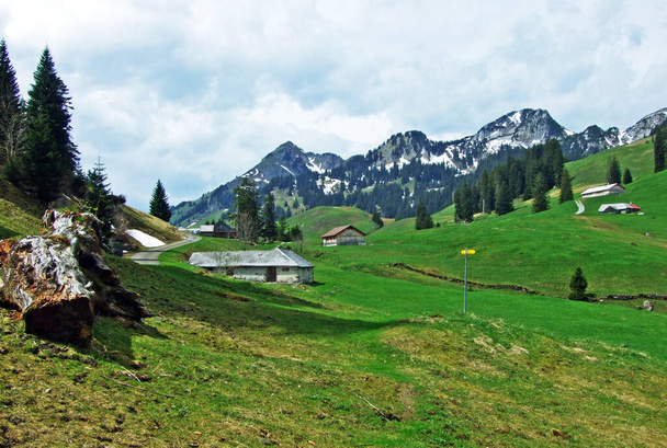 Gospodarstwa hodowlane bydła i architektura wiejska na zboczach Alp Szwajcarskich i w regionie Obertoggenburg, Unterwasser - Canton of St. Gallen, Szwajcaria - Zdjęcie, obraz