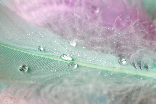 drops of dew on colored feathers. abstract background closeup - Foto, Bild