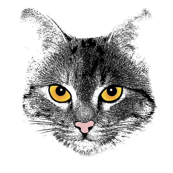 Stylized cat face on white - Vector, Image