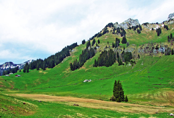 Alpages et prairies alpines sur les pentes de la chaîne de montagnes Alpstein et dans la vallée de la Thur, Unterwasser - Canton de Saint-Gall, Suisse
 - Photo, image