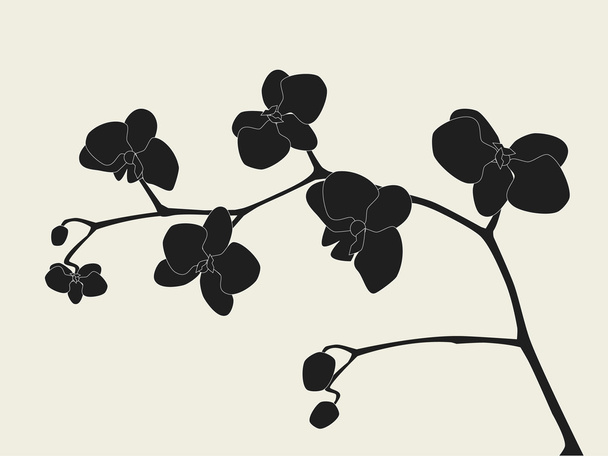 Orchid branch silhouette - Vector, Image