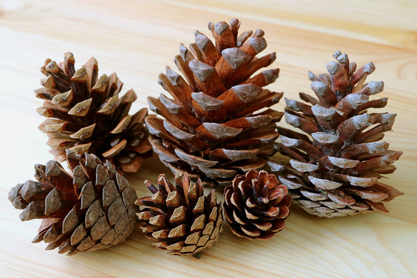 Куча различных размеров натуральных сухих сосновых шишек, изолированных на светло-коричневом деревянном столе
 - Фото, изображение