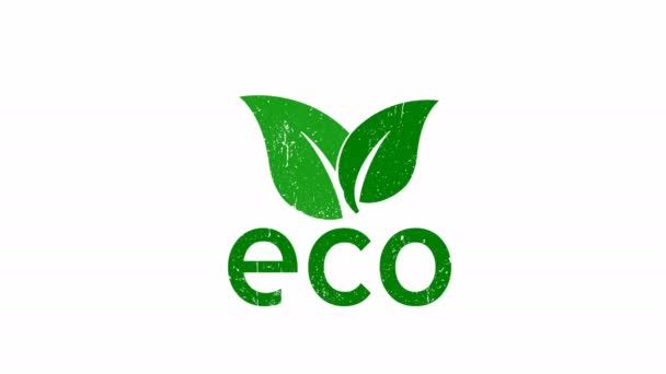 Ecologisch concept. Groen blad. Vervuilingsprobleem. Milieubescherming. Red de wereld. Geen verspilling. 4k video - Video