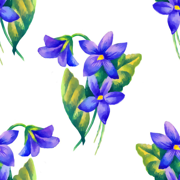 Violets, watercolor  illustration,  seamless pattern - 写真・画像
