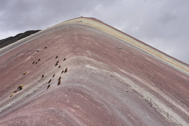 Giovane montagna Caracara uccelli su Vinicunca 'Rainbow Mountain'. Cusco, Perù - Foto, immagini