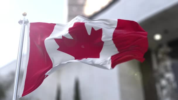 The flag of Canada (French: le drapeau du Canada), often referred to as the Canadian flag, or unofficially as the Maple Leaf, is the national flag of Canada. - Footage, Video