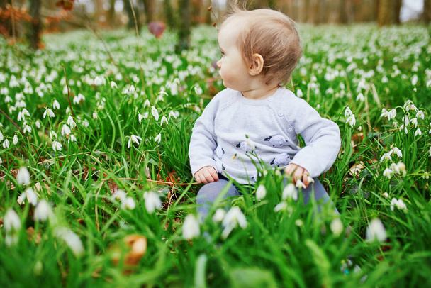 Cute jeden rok stary dziewczynka siedzi na trawie z wielu kwiatów śniegu w parku lub lesie - Zdjęcie, obraz