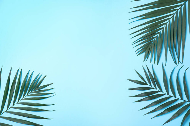 Beautiful lush tropical leaves on light blue background. Space for text - Foto, Imagem