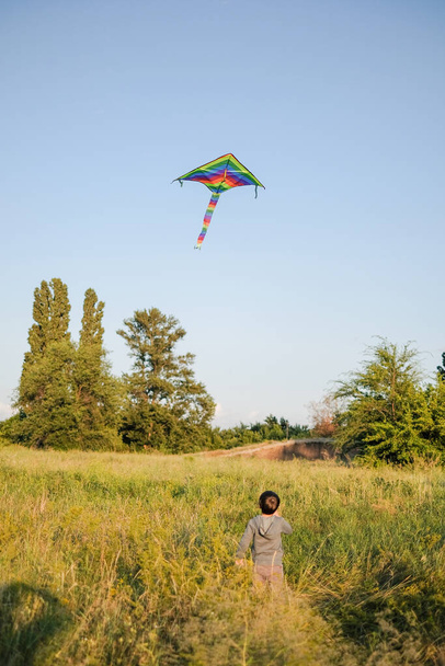 男が夏の公園で凧を発射. - 写真・画像