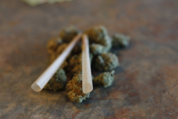 closeup of dried marijuana and handmade cigarette in ashtray. - Photo, Image