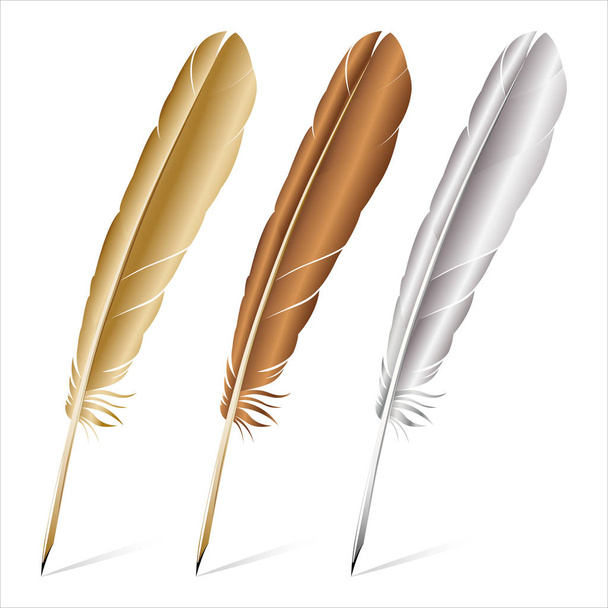 Realistic of multicolored feathers on a white background - Vector, Image