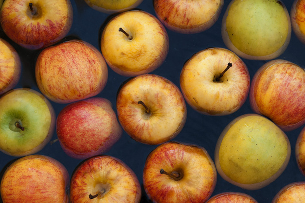 Mehrfarbige Äpfel in Wasser - Foto, Bild
