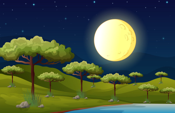 Uma lua cheia brilhante iluminando a floresta
 - Vetor, Imagem