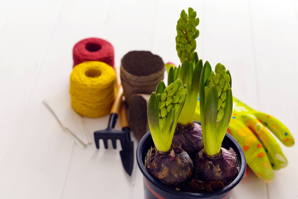 Composition with flowers and various garden tools on a wooden background. - Photo, Image