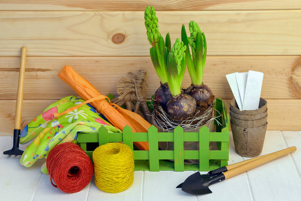 Composition with flowers and various garden tools on a wooden background with a wooden wall. - Foto, imagen