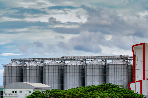 Yem fabrikasındaki tarımsal silo. Yem imalatında tahıl depolamak için büyük bir tank. Hayvan yemi üretimi için tohum deposu kulesi. Çiftlik hayvanları, domuz ve balık endüstrileri için ticari yem.  - Fotoğraf, Görsel