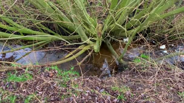 Water flows in a ditch between the fields - Footage, Video