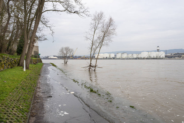 A Rajna magas állapota Nyugat-Németországban, amely a folyómederből, elárasztott járdáról és kerékpárútról emelkedett ki. - Fotó, kép