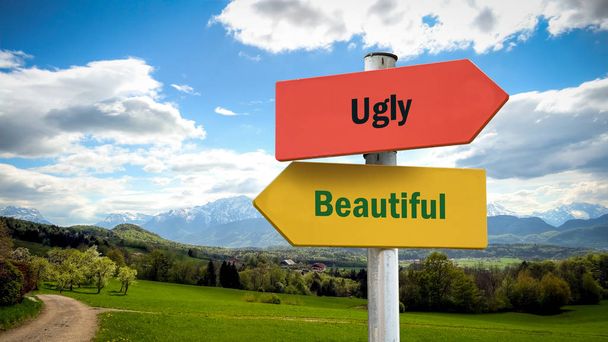 Nápis-ulice krása versus ošklivá - Fotografie, Obrázek