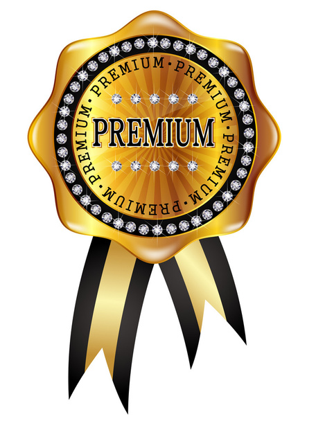 Premium medal frame - Vettoriali, immagini
