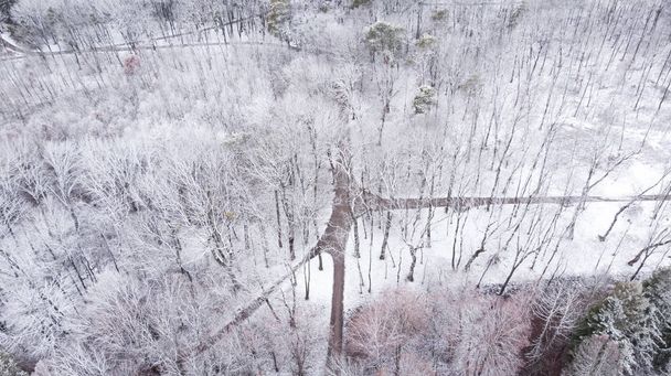 zasněžený park, cesta do parku, stromy ve sněhu, letecká fotografie - Fotografie, Obrázek
