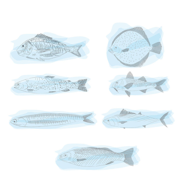 εικόνες θαλασσινών ψαριών υδατογραφία φόντο και ζωγραφισμένα στο χέρι ψάρια - Διάνυσμα, εικόνα