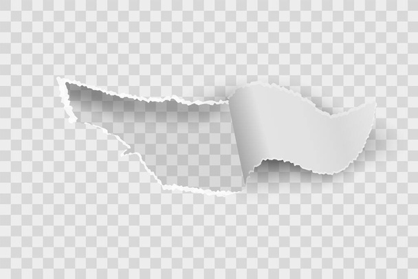 Paper hole. Realistic torn blank rip edge banner. Tear off paper curled piece isolated on transparent background. Vector illustration - ベクター画像