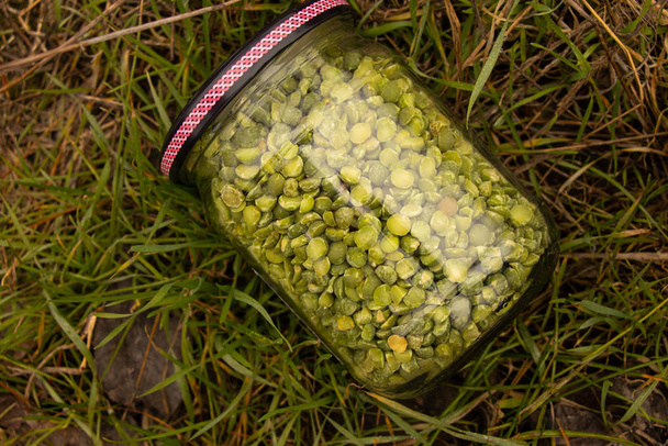 rohe grüne Erbsen im Glas liegen auf dem Gras - Foto, Bild