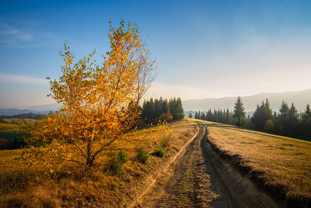 View of the path in the countryside. - Fotó, kép