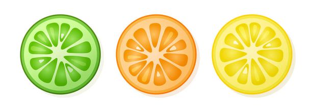 Набор лимонных, апельсиновых, лаймовых ломтиков на белом фоне. Цитрусовые ломтики. Векторная иллюстрация
. - Вектор,изображение