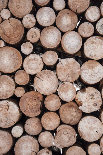 Montón de madera troncos de almacenamiento para la industria - Foto, imagen